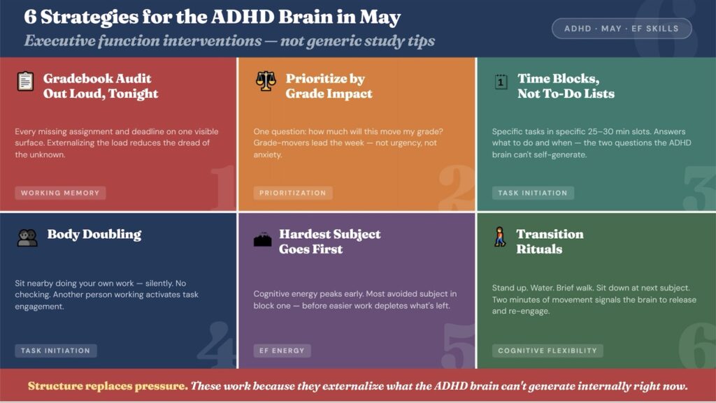 Six executive function strategies for ADHD students in May: gradebook audit, prioritizing by grade impact, time blocks over to-do lists, body doubling, hardest subject first, and transition rituals between tasks